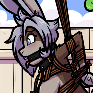 20/06/2024 – bun in the sun