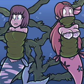 c2021-41 – seaweed wrap – 09/07/2021