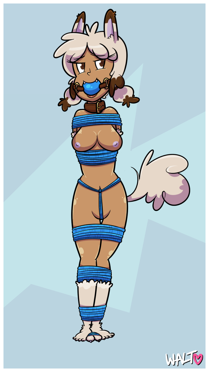 24/02/2017 – lacy (moriwth)