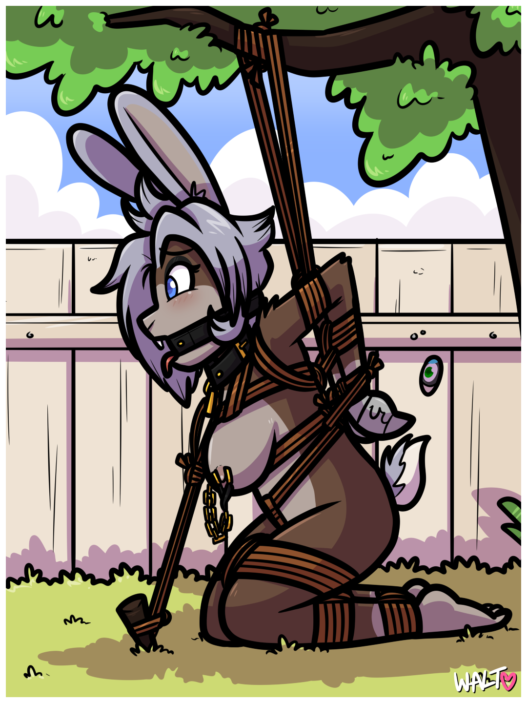 20/06/2024 – bun in the sun