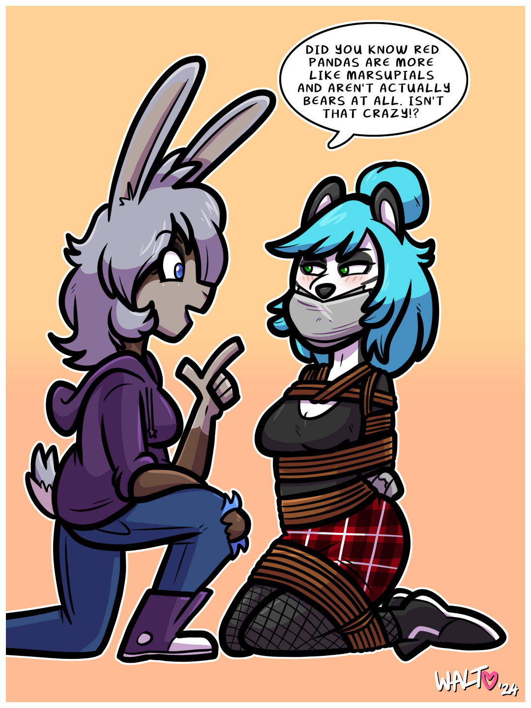 17/07/2024 – pandasplained