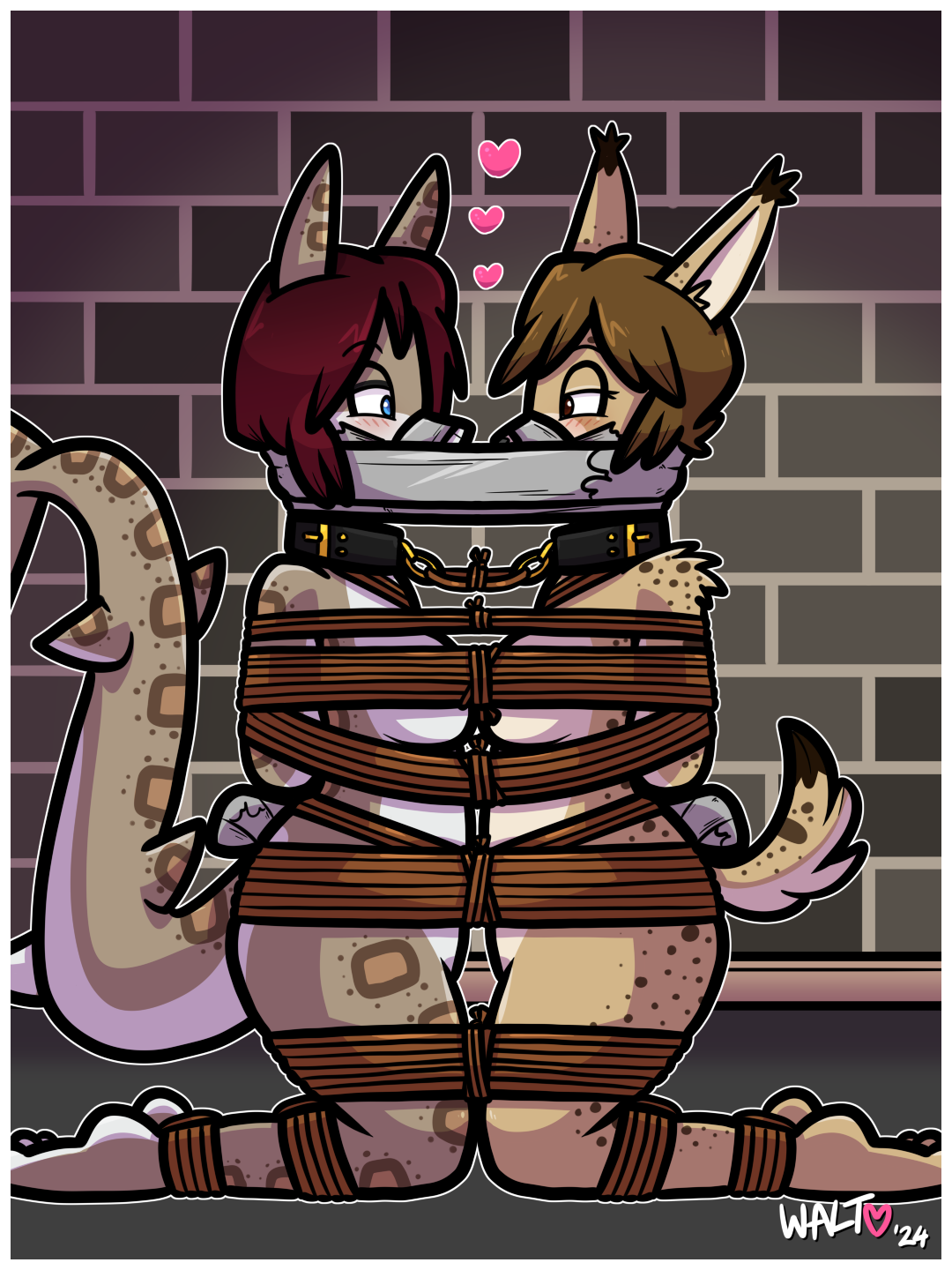 07/08/2024 – kitty n’ shark