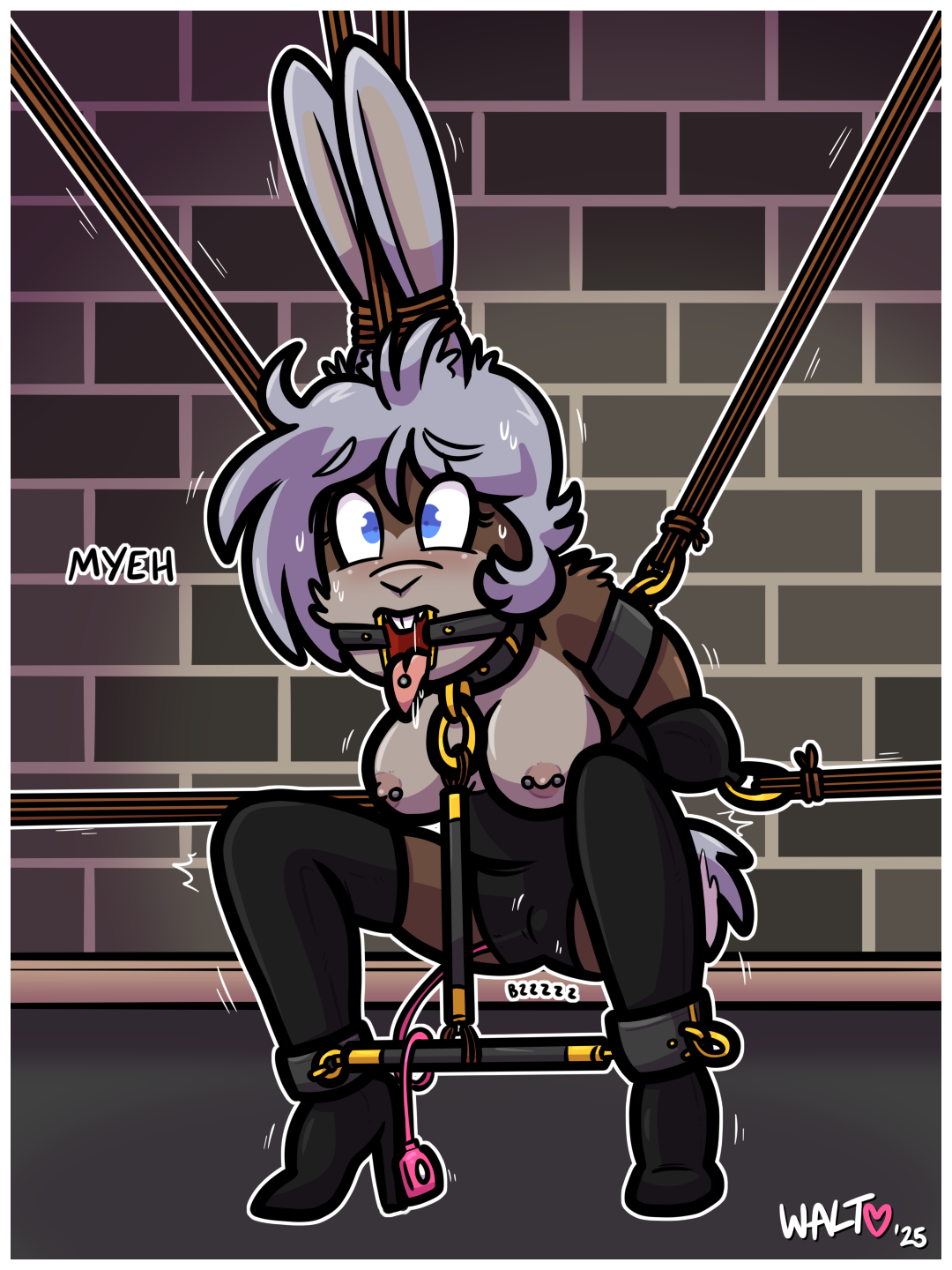 11/05/2025 – buntied