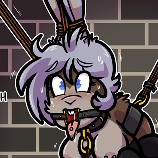 [11/05/2025] buntied