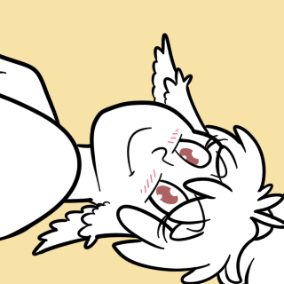 [??/??/2017] halcy