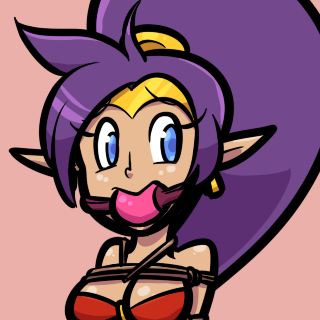 [07/06/2017] shantae